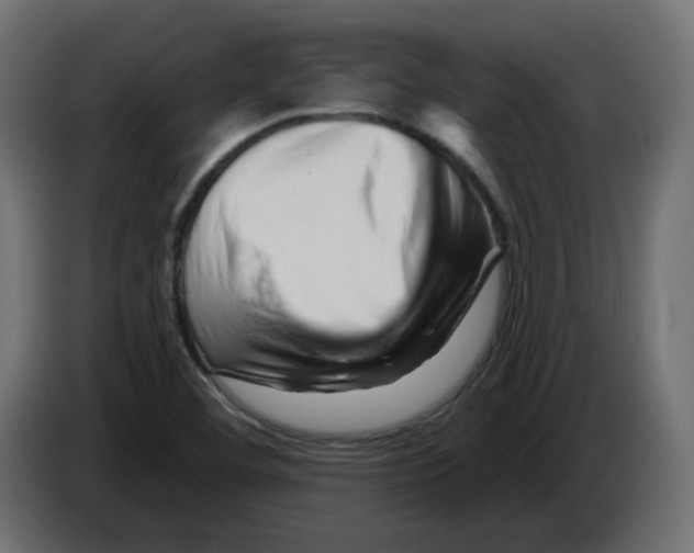 X0000082961460200703020201