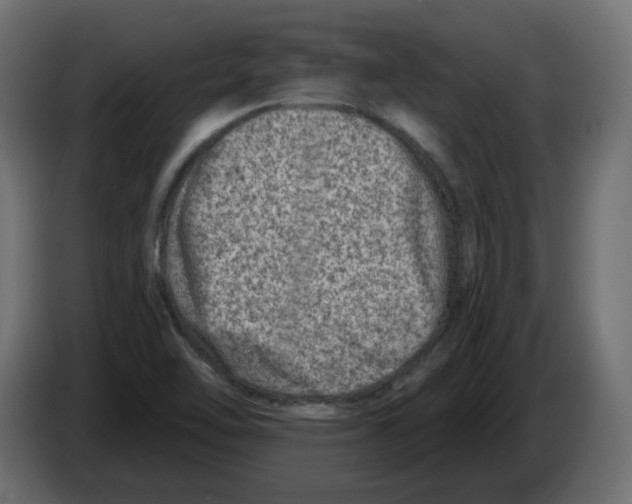 X0000082961462200703020201