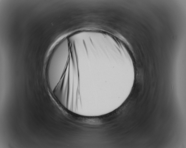 X0000082961464200703020201