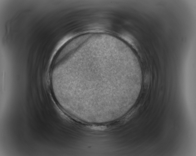 X0000082961466200703020201