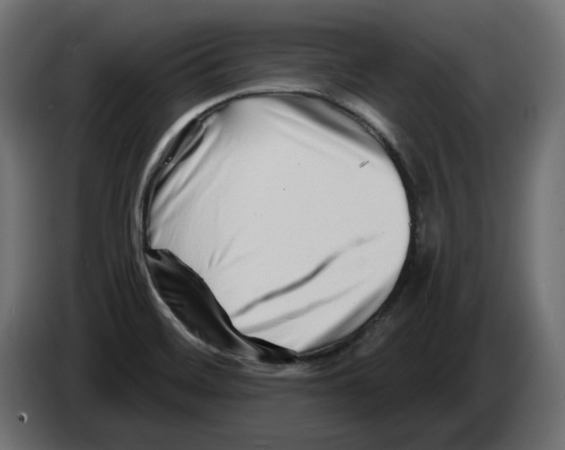 X0000082961468200703020201