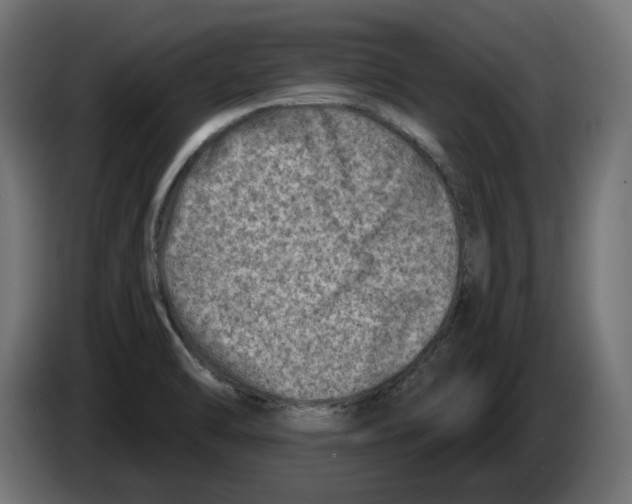 X0000082961470200703020201