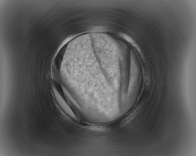 X0000082961473200703020201