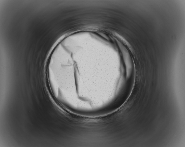 X0000082961475200703020201