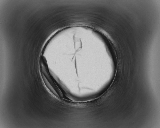 X0000082961476200703020201