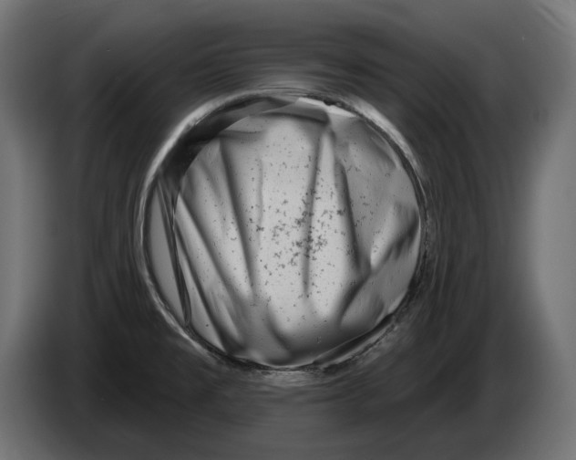 X0000082961477200703020201