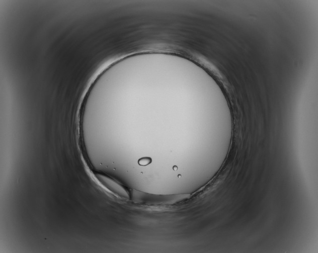 X0000082961479200703020201