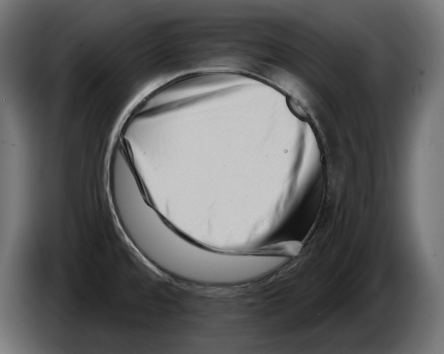 X0000082961480200703020201