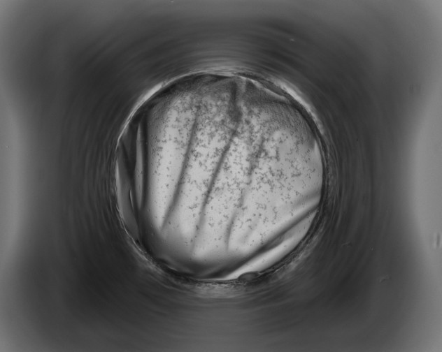 X0000082961481200703020201