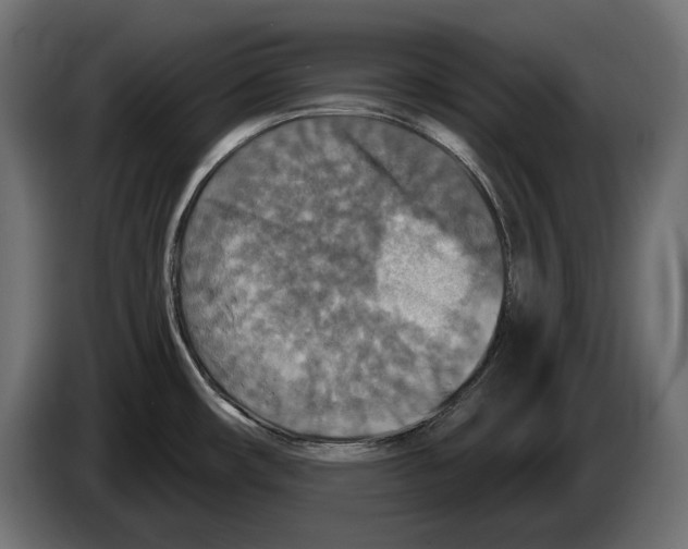 X0000082961482200703020201