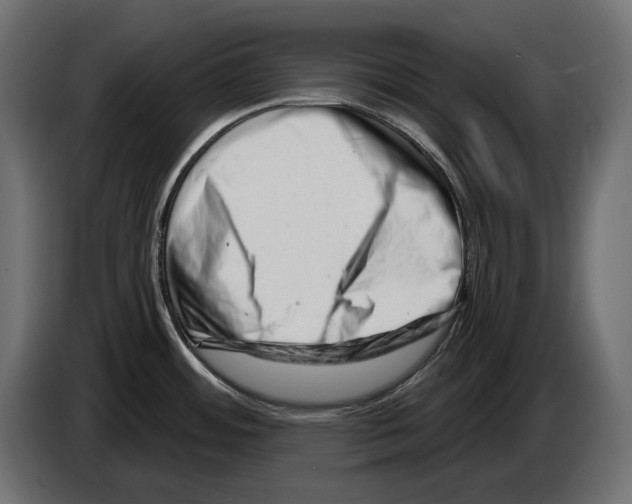 X0000082961484200703020201