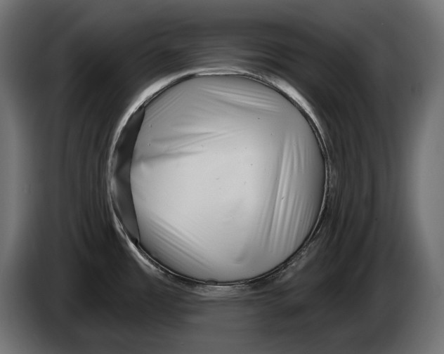 X0000082961485200703020201