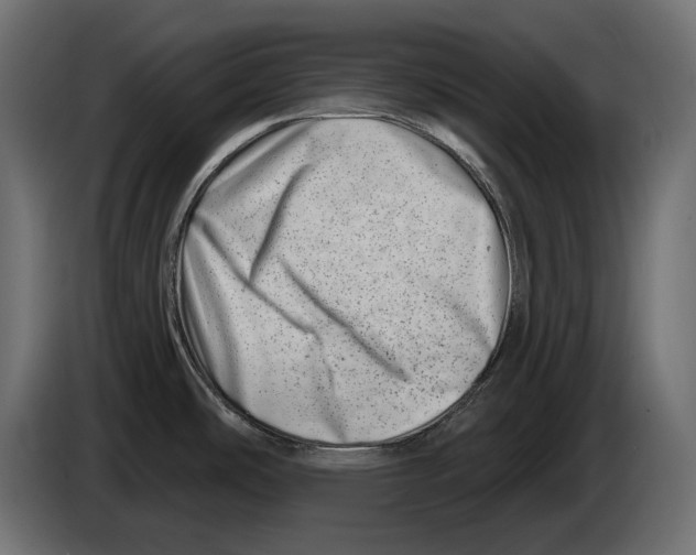 X0000082961486200703020201