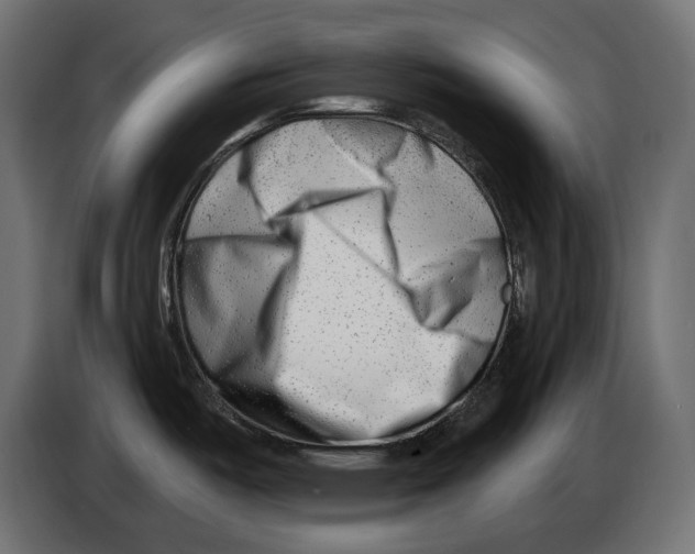 X0000082961487200703020201