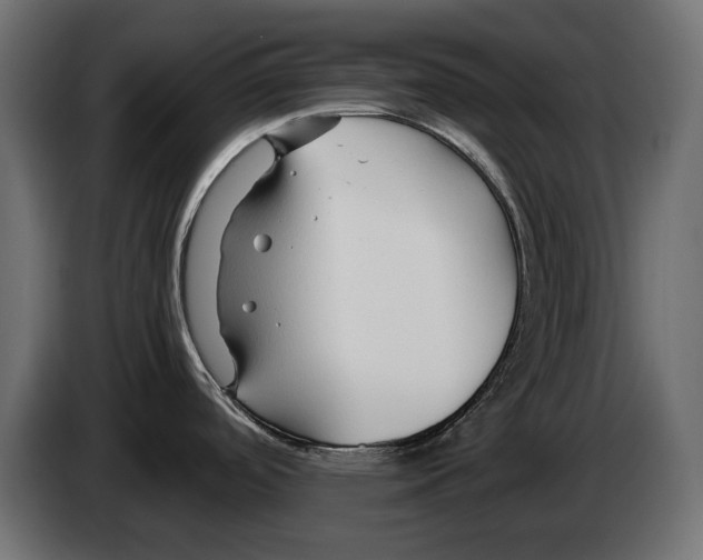 X0000082961488200703020201