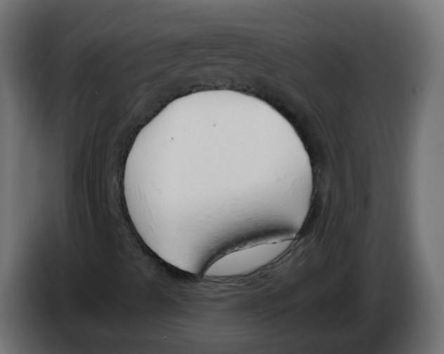 X0000082961489200703020200