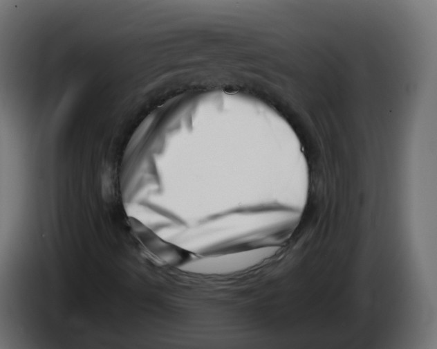 X0000082961490200703020200