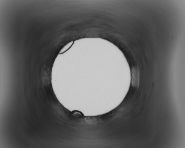 X0000082961491200703020200