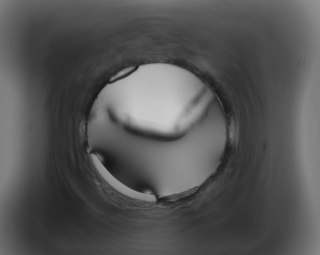 X0000082961492200703020200