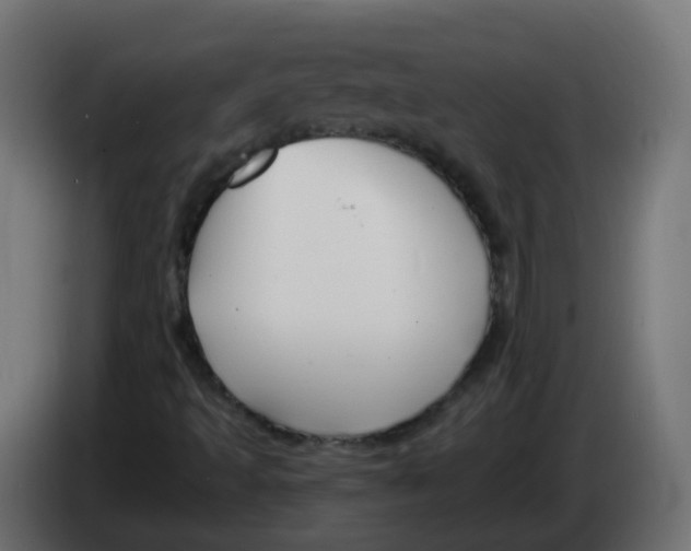 X0000082961493200703020200