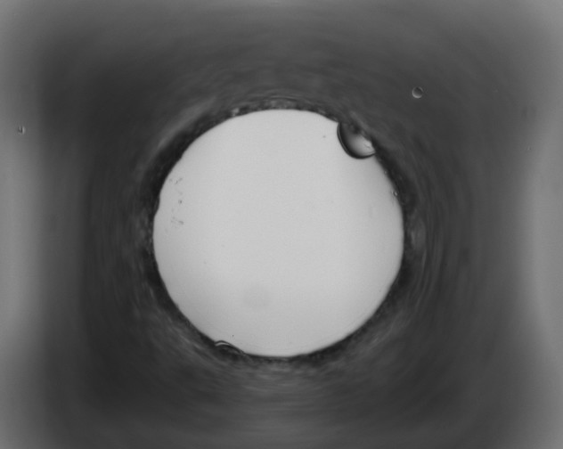 X0000082961495200703020200