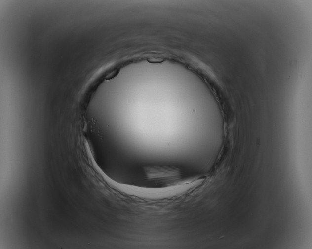 X0000082961496200703020200