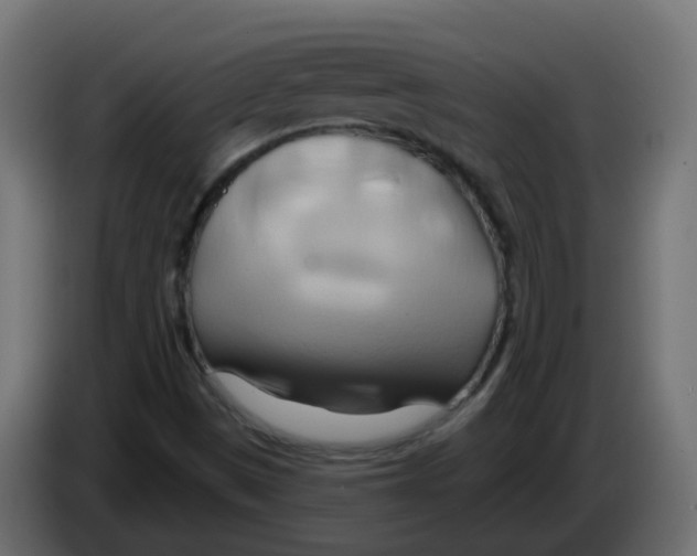 X0000082961497200703020200