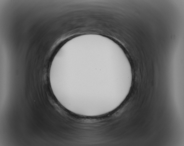 X0000082961499200703020200