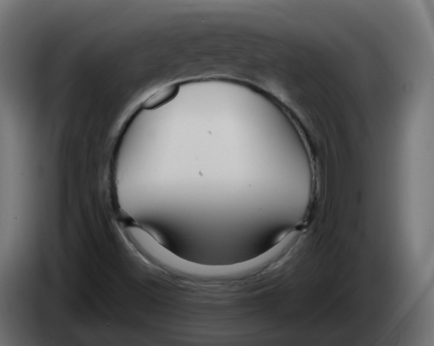 X0000082961500200703020201