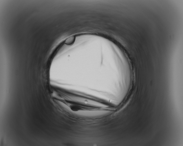 X0000082961501200703020201