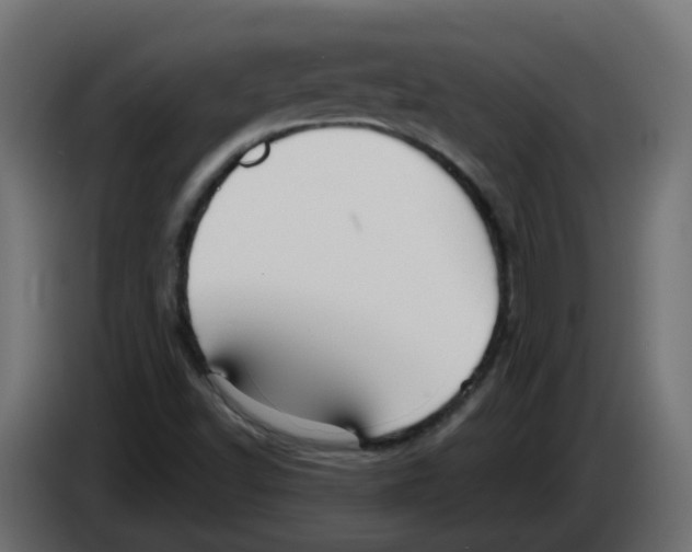 X0000082961502200703020201