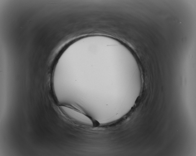 X0000082961503200703020201