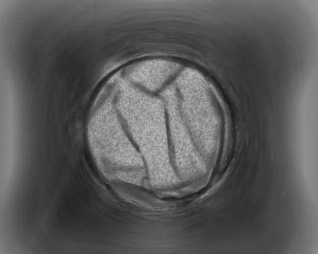 X0000082961505200703020201