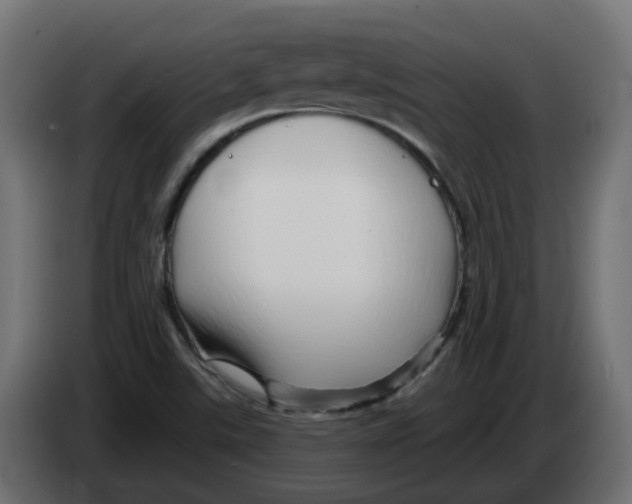 X0000082961507200703020201