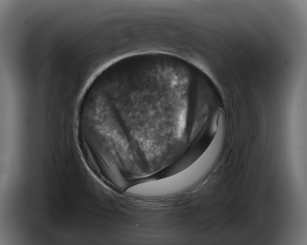 X0000082961508200703020201