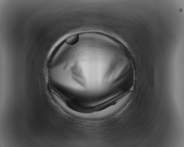 X0000082961510200703020201