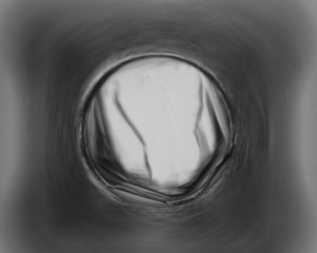 X0000082961511200703020201