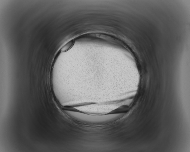 X0000082961513200703020201