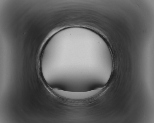 X0000082961517200703020201