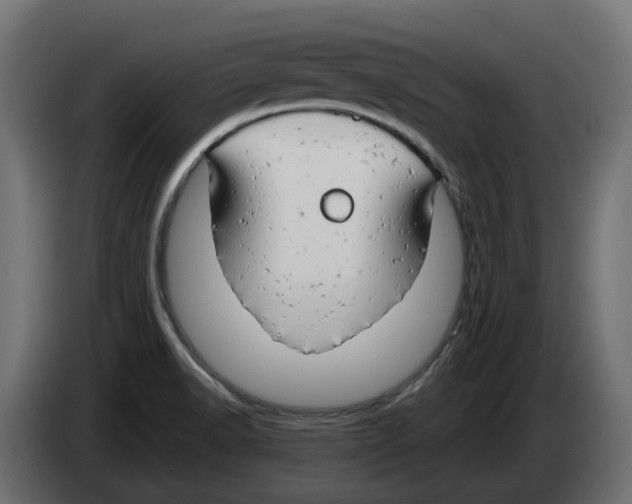 X0000082961518200703020201