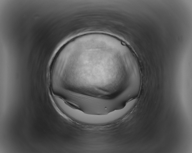 X0000082961519200703020201