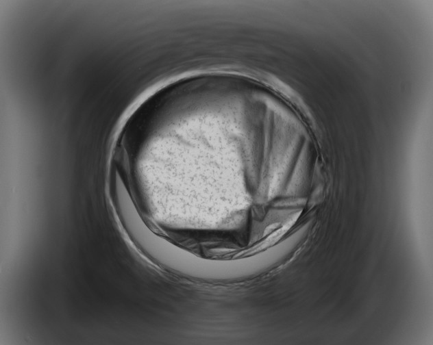 X0000082961520200703020201