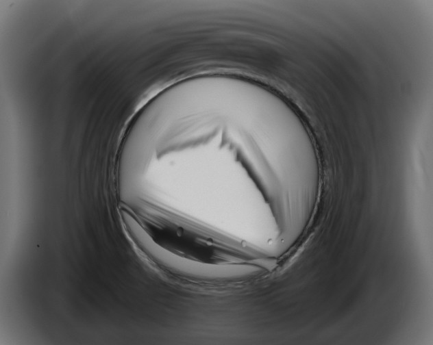 X0000082961521200703020201