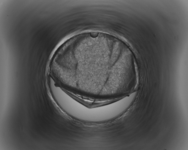 X0000082961522200703020201