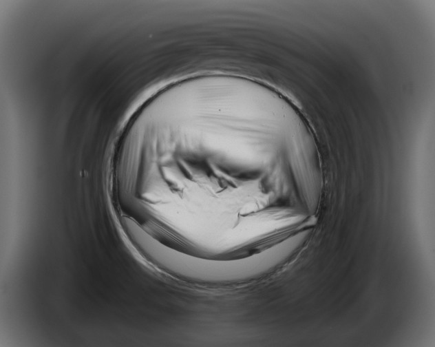 X0000082961523200703020201