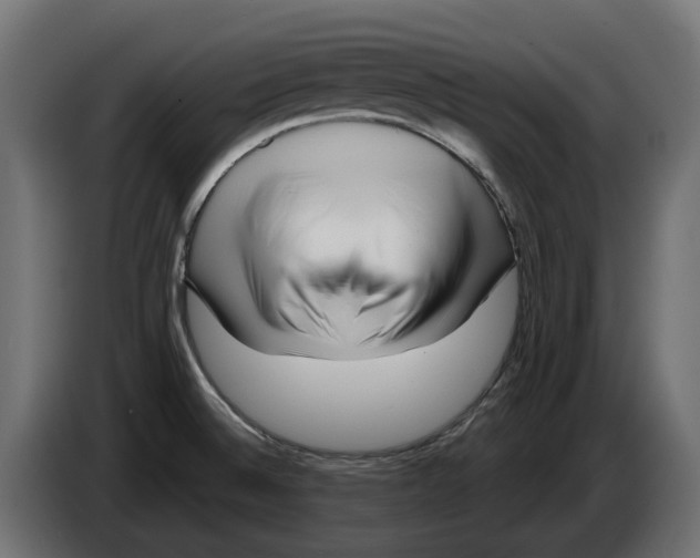 X0000082961524200703020201