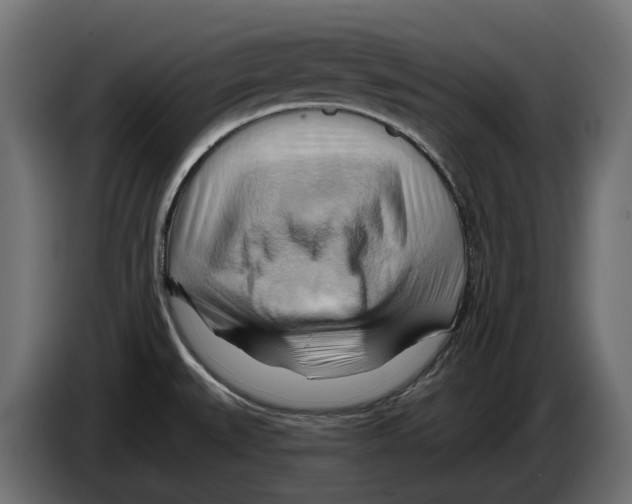 X0000082961527200703020201