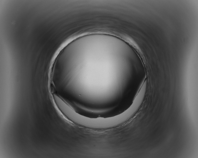 X0000082961528200703020201