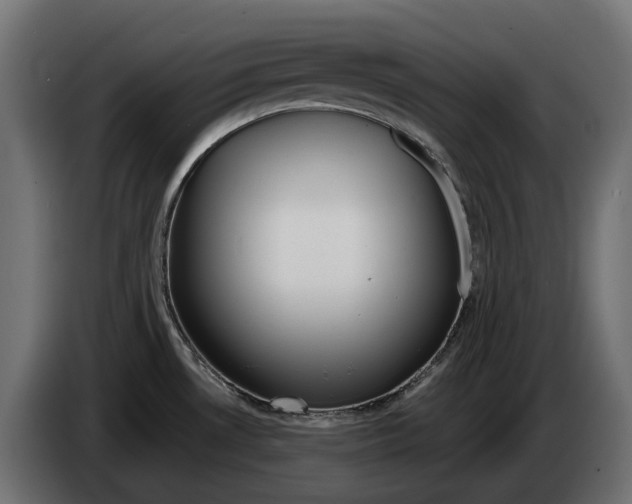 X0000082961530200703020201