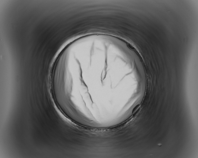 X0000082961531200703020201